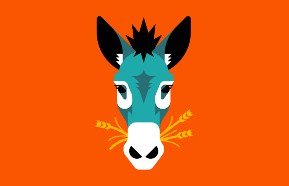 animalaid_burro_1240