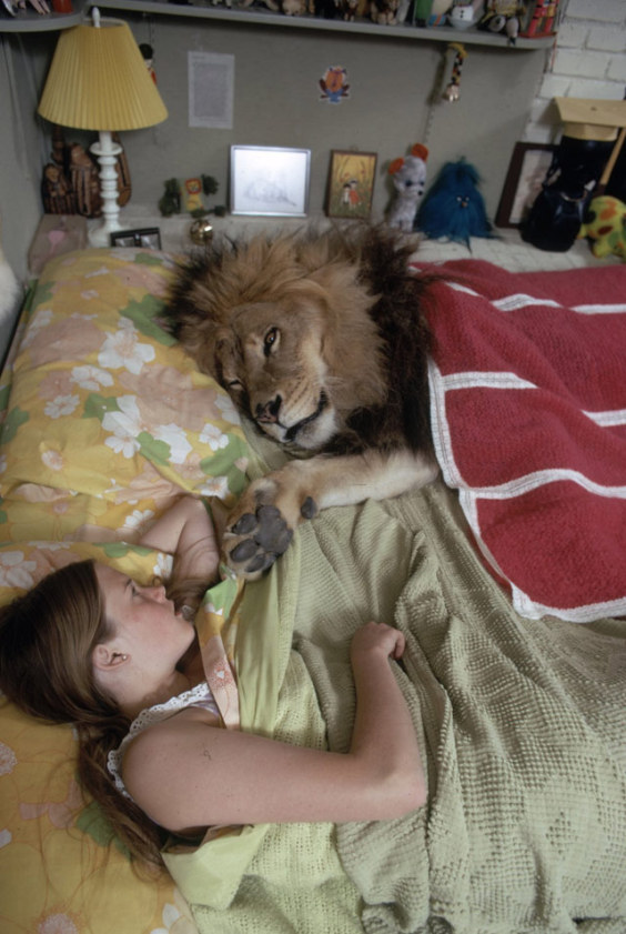 lion-home-02