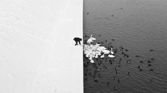 842973_563550946990614_1929597672_o-photo-by-marcin-ryczek