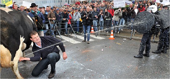 MilkProtest600