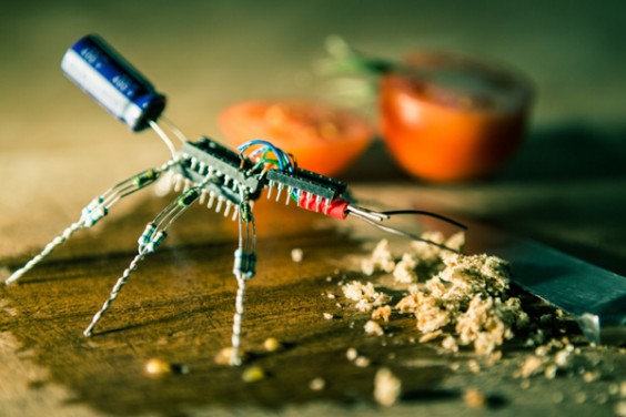 daily-contaminations