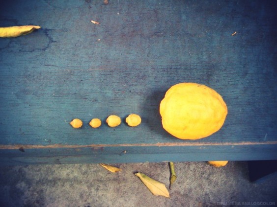 photo.jpg_effected