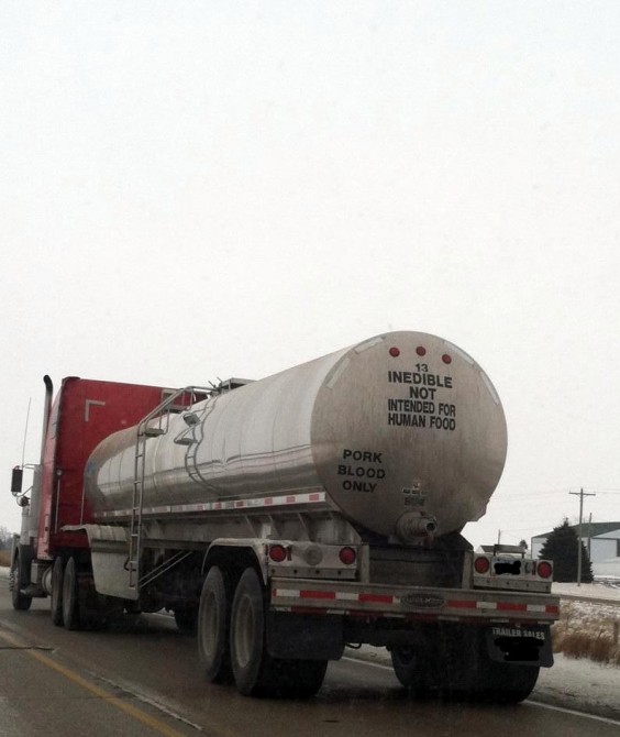 pork-blood-tanker-truck1