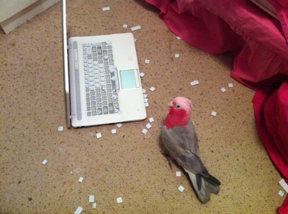 tumblr_me8e8hWqJa1rnvr0so1_1280