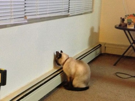 tumblr_mge5j01pdu1qzvc2yo1_1280