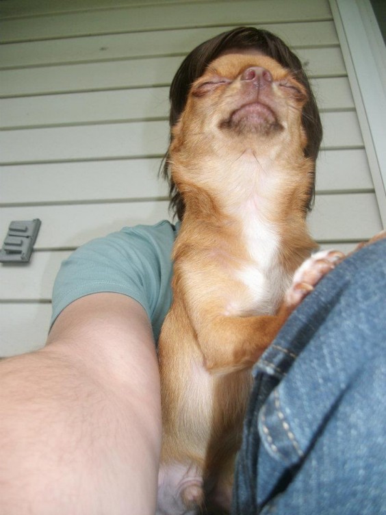 tumblr_mgjtgdszVY1qzcv7no1_1280