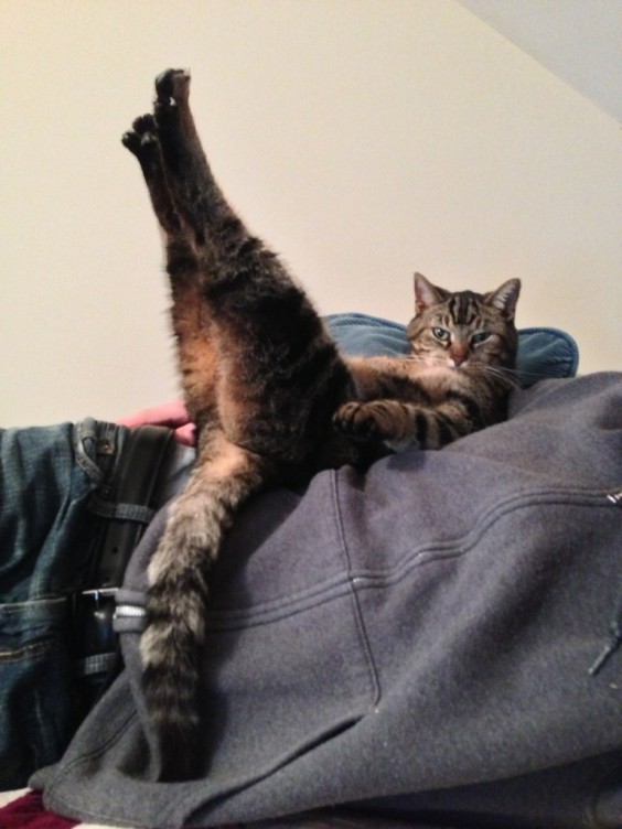 tumblr_mjyvjsETZv1qa6z3eo1_1280