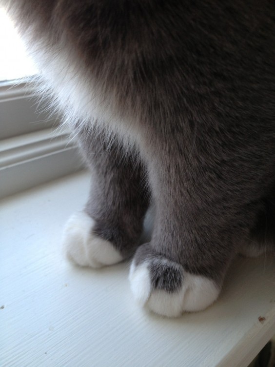 tumblr_mkgr23tDT81rwx6p3o1_1280