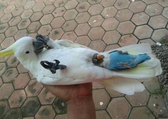 tumblr_mmoh9spVrC1qzwpxjo1_1280