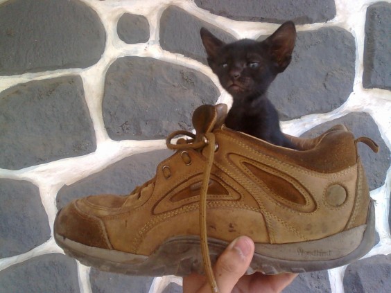 tumblr_mngthhwCxk1qejbiro1_1280