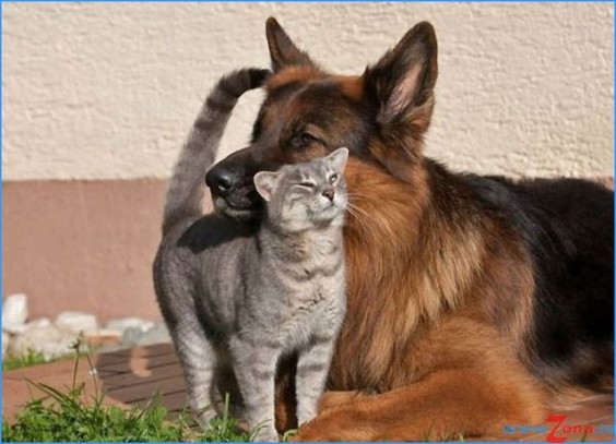 tumblr_mqchptvQrv1qd477zo1_1280