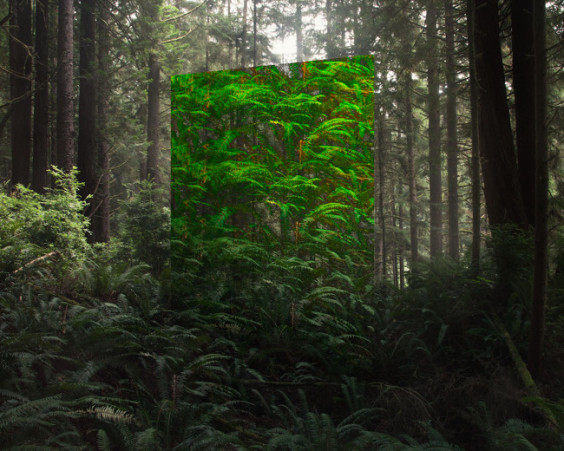 untitled14